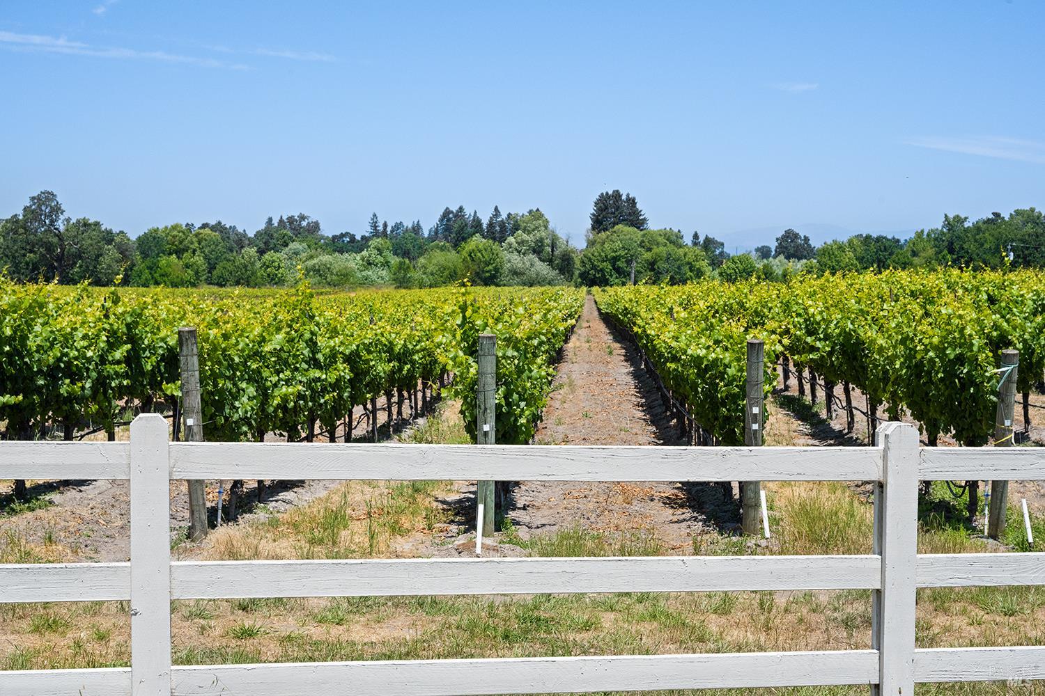 5505 Bravo Toro Lane Santa Rosa, CA 95401 - Photo 2 of 24