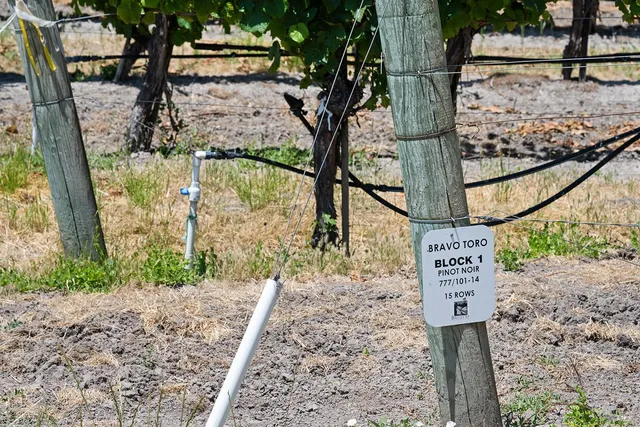 $1,195,000 | 5505 Bravo Toro Lane, Santa Rosa, CA 95401