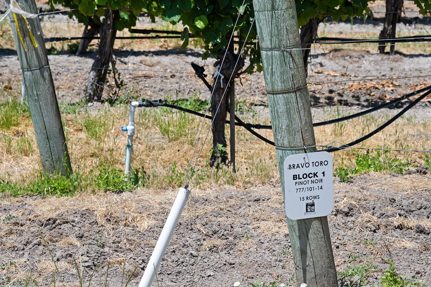5505 Bravo Toro Lane Santa Rosa, CA 95401 - Photo 22 of 24