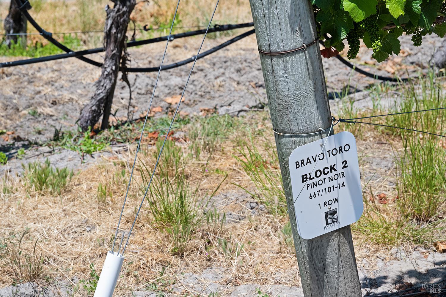 5505 Bravo Toro Lane Santa Rosa, CA 95401 - Photo 23 of 24