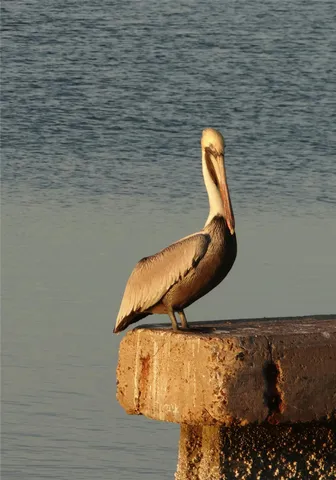 $49,900 | 154 Lago Vista Drive, Rockport, TX 78382