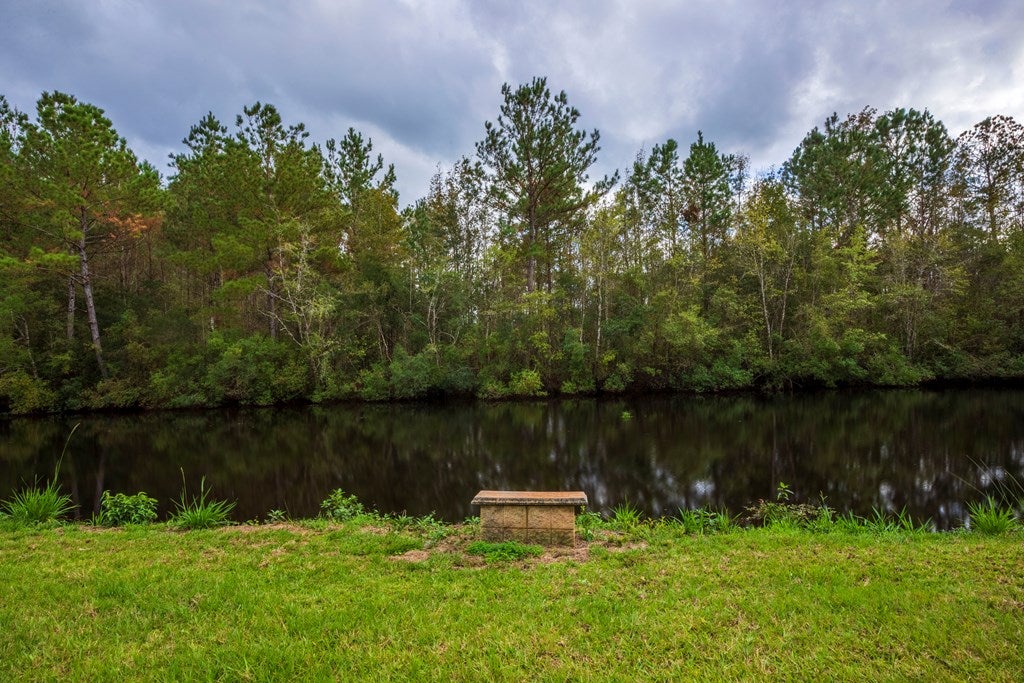 2190 Studstill Road Quitman, GA 31643 - Photo 75 of 89 Gallery Image 75