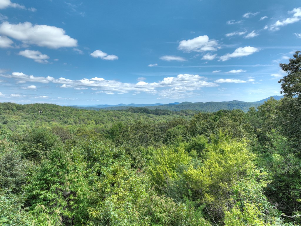 296 Overlook Road Blue Ridge, GA 30513 - Photo 3 of 65 Gallery Image 3