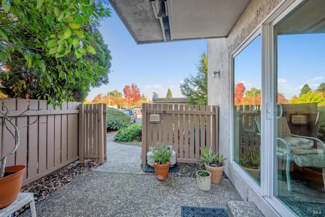 a view of a path along with potted plant