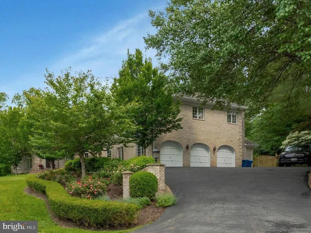 a view of a garden with potted plants and large trees