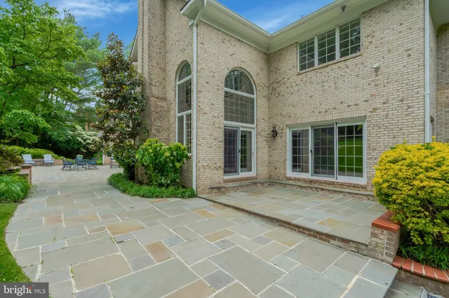 a view of yard with tree in it