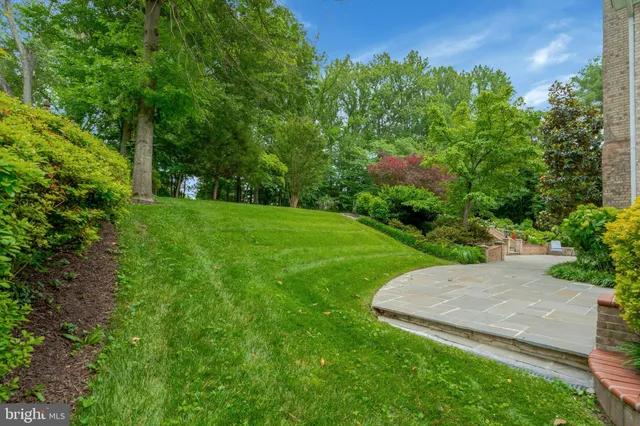 a view of green field with trees in the background