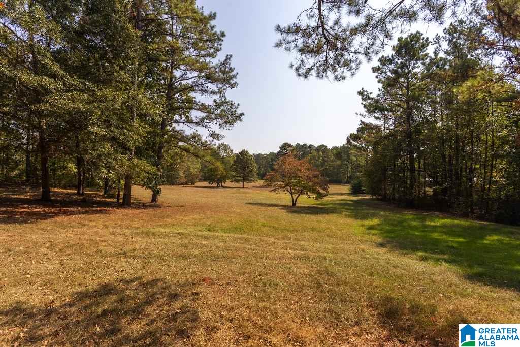 1249 Stockdale Road Munford, AL 36268 - Photo 48 of 50