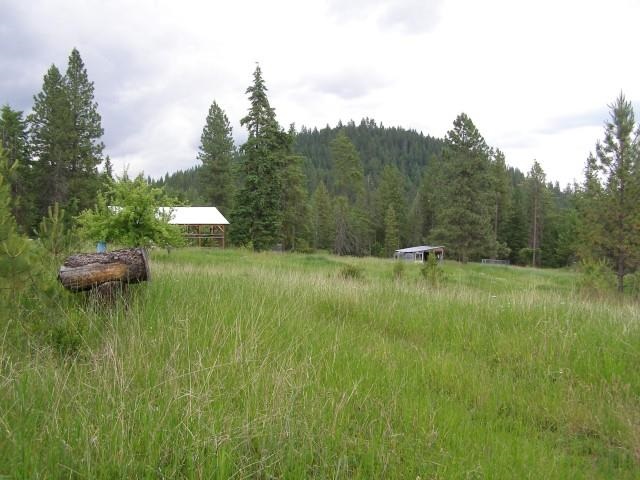 5368 Bear Ridge Way Springdale, WA 99173 - Photo 1 of 14