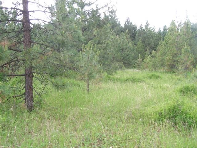5368 Bear Ridge Way Springdale, WA 99173 - Photo 13 of 14