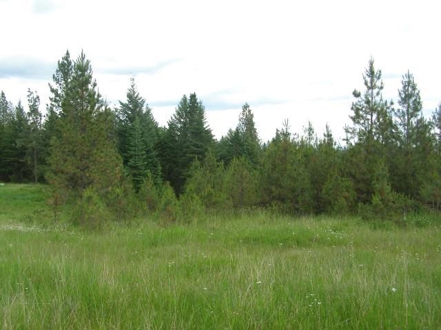 5368 Bear Ridge Way Springdale, WA 99173 - Photo 14 of 14