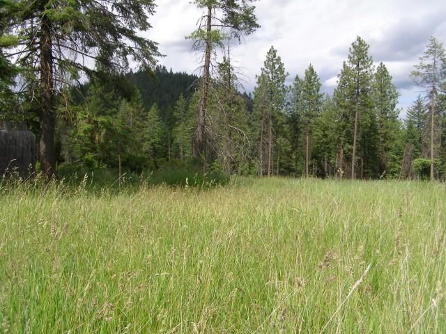 5368 Bear Ridge Way Springdale, WA 99173 - Photo 5 of 14