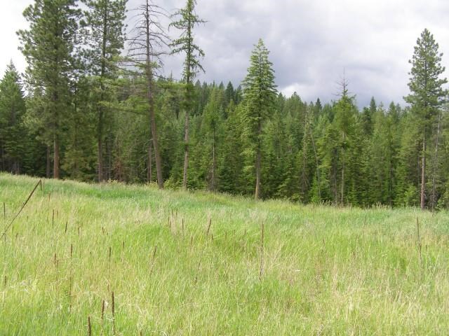 5368 Bear Ridge Way Springdale, WA 99173 - Photo 6 of 14