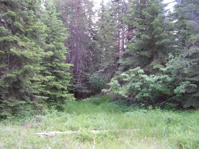 5368 Bear Ridge Way Springdale, WA 99173 - Photo 7 of 14