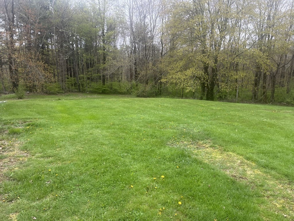 30 Podunk Road Sturbridge, MA 01566 - Photo 13 of 13 a view of a yard