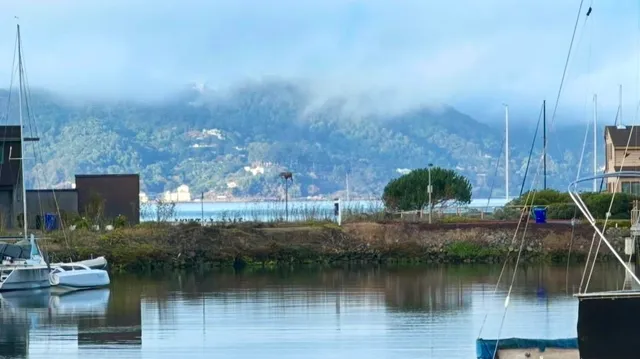 a view of house with river in front of it