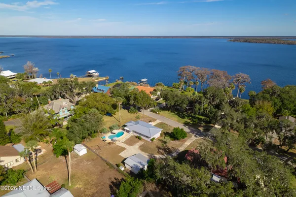 a view of a tree with a lot of flower and plants