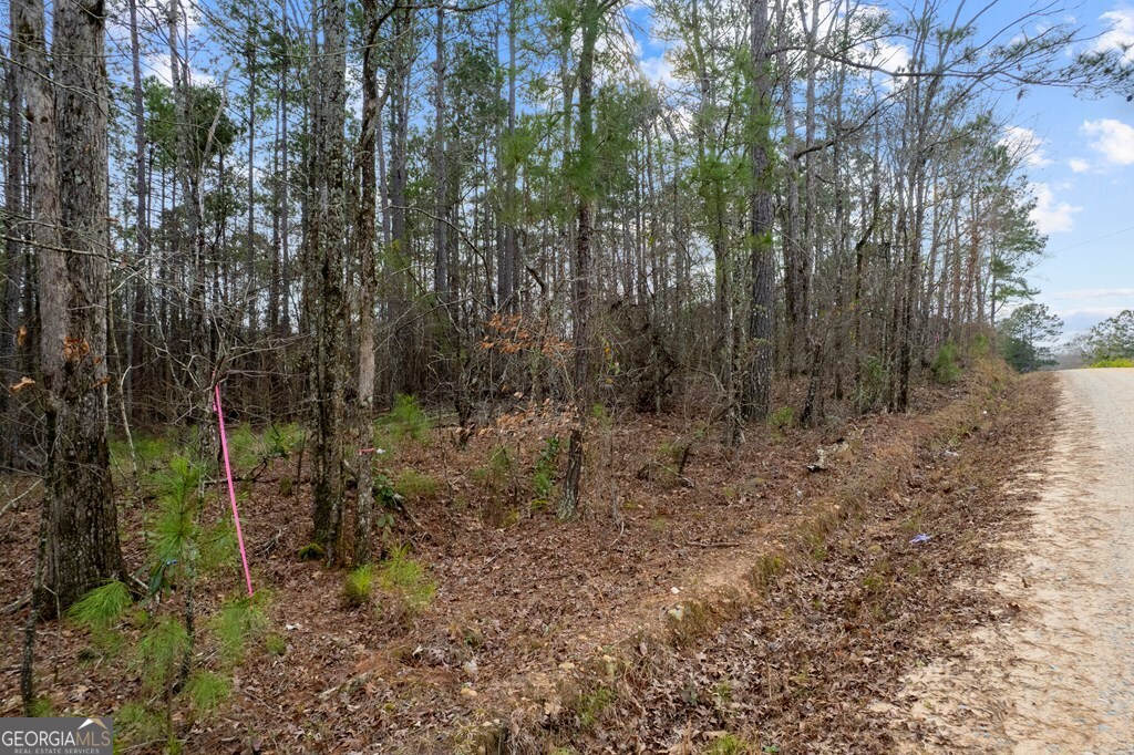 445 Lake Laurel Road Milledgeville, GA 31061 - Photo 16 of 16