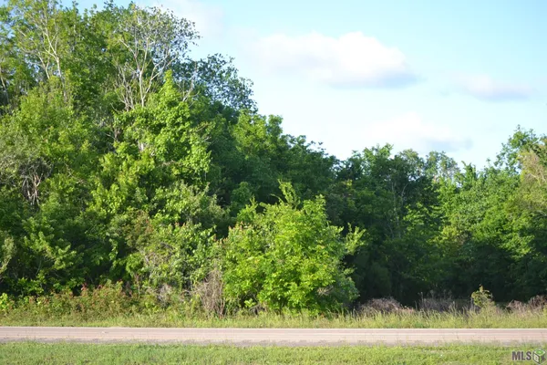 $73,500 | 3235 EAST Tbd Highway, Larose, LA 70373