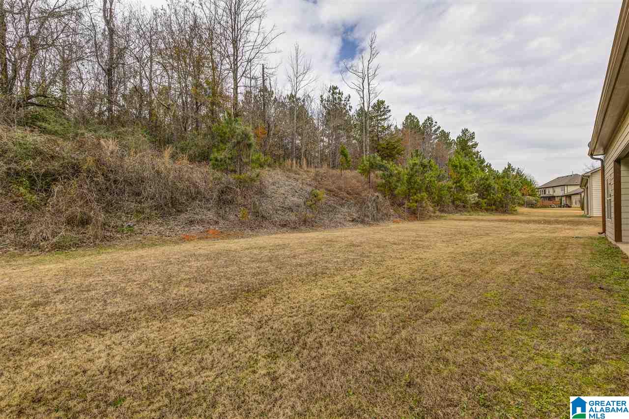 7979 Everetts Loop McCalla, AL 35111 - Photo 29 of 29