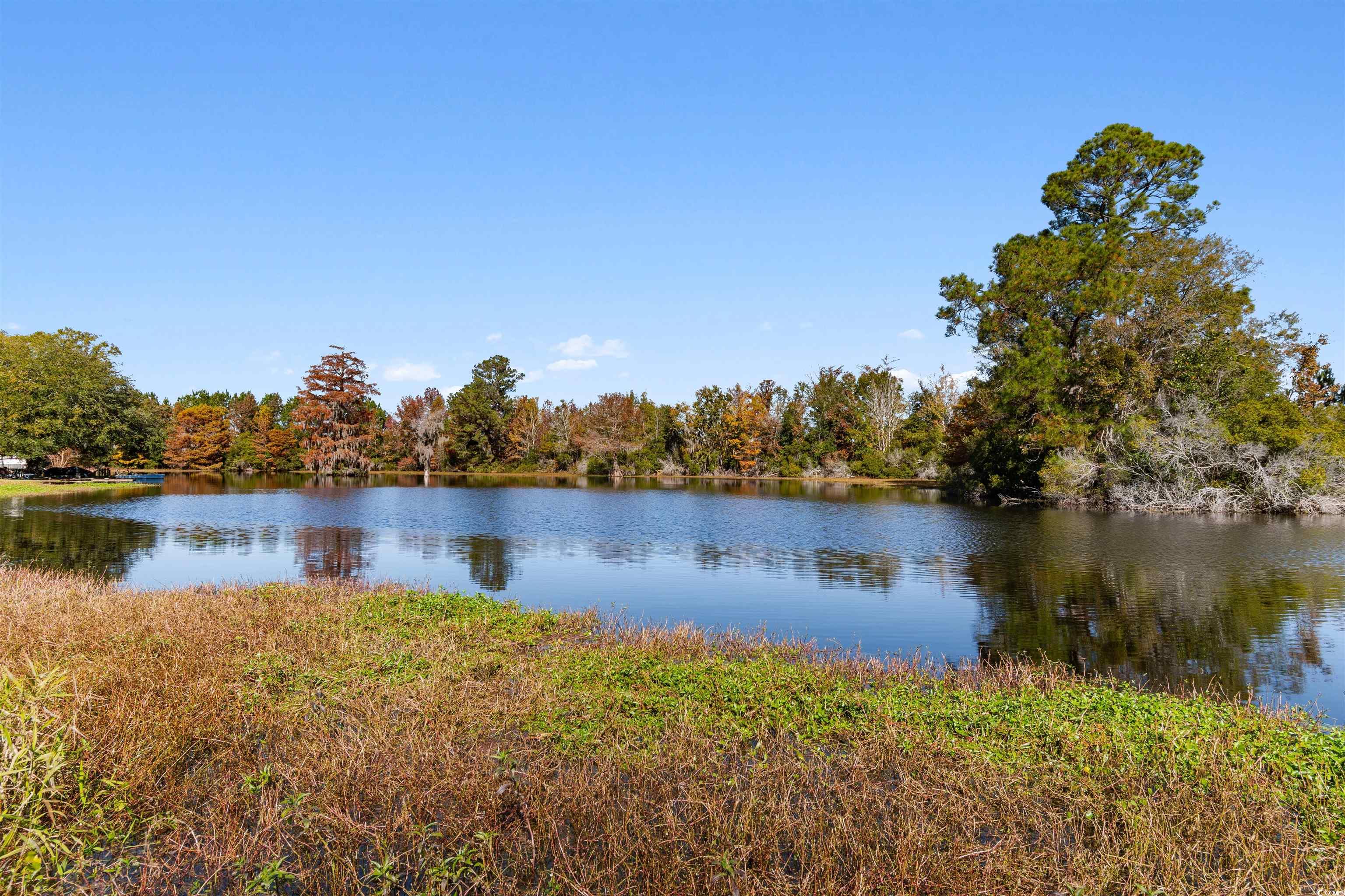 128 Highway 521 Andrews Sc 29510 Andrews, SC 29510 - Photo 35 of 37