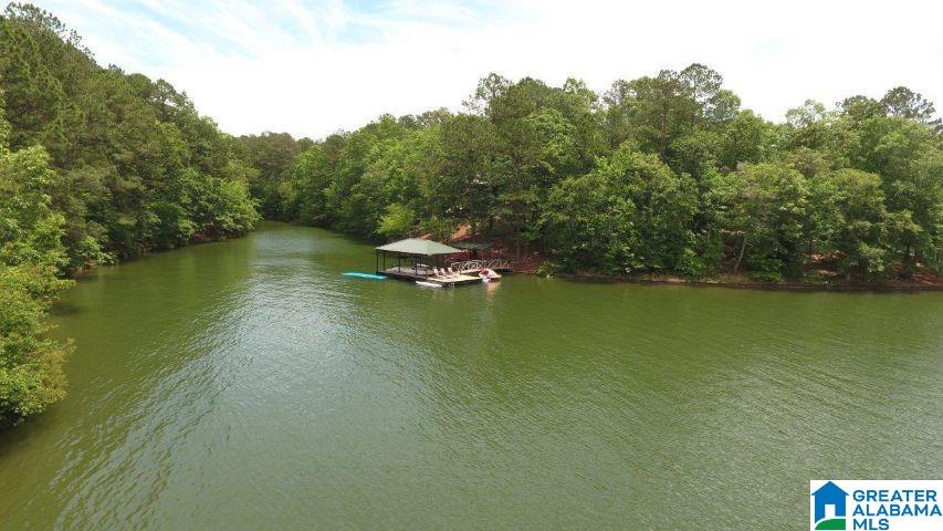 Bluebird Drive Wedowee, AL 36278 - Photo 1 of 6