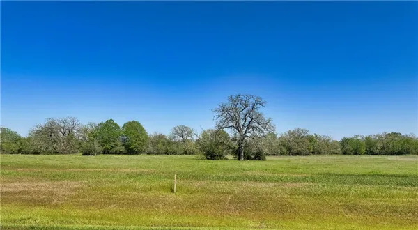 a view of a field with trees in background
