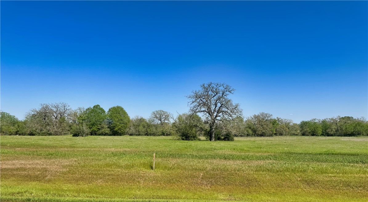 a view of a field with trees in background