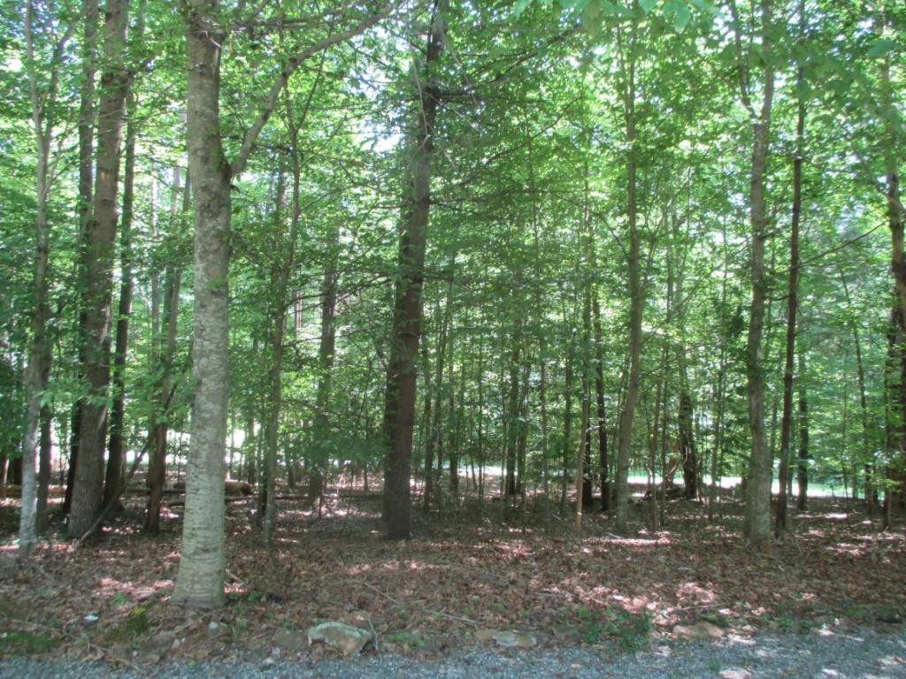 2924 Pheasant Run Road Haw River, NC 27258 - Photo 7 of 18 Gallery Image 7