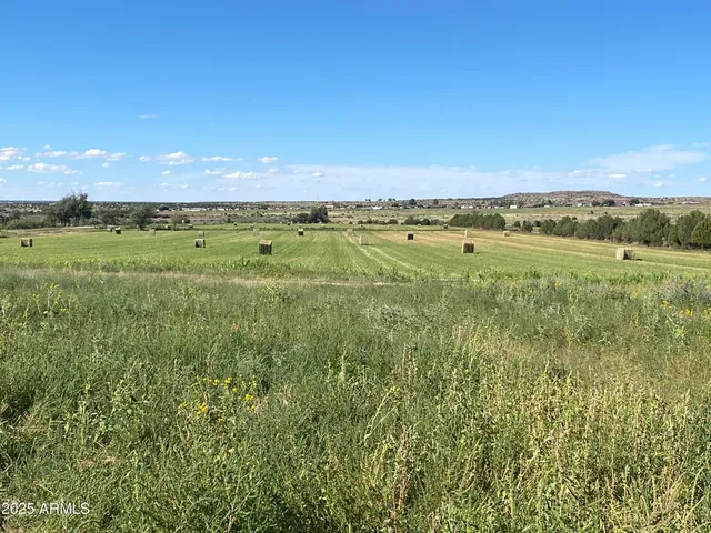 a view of a field with an trees in the background