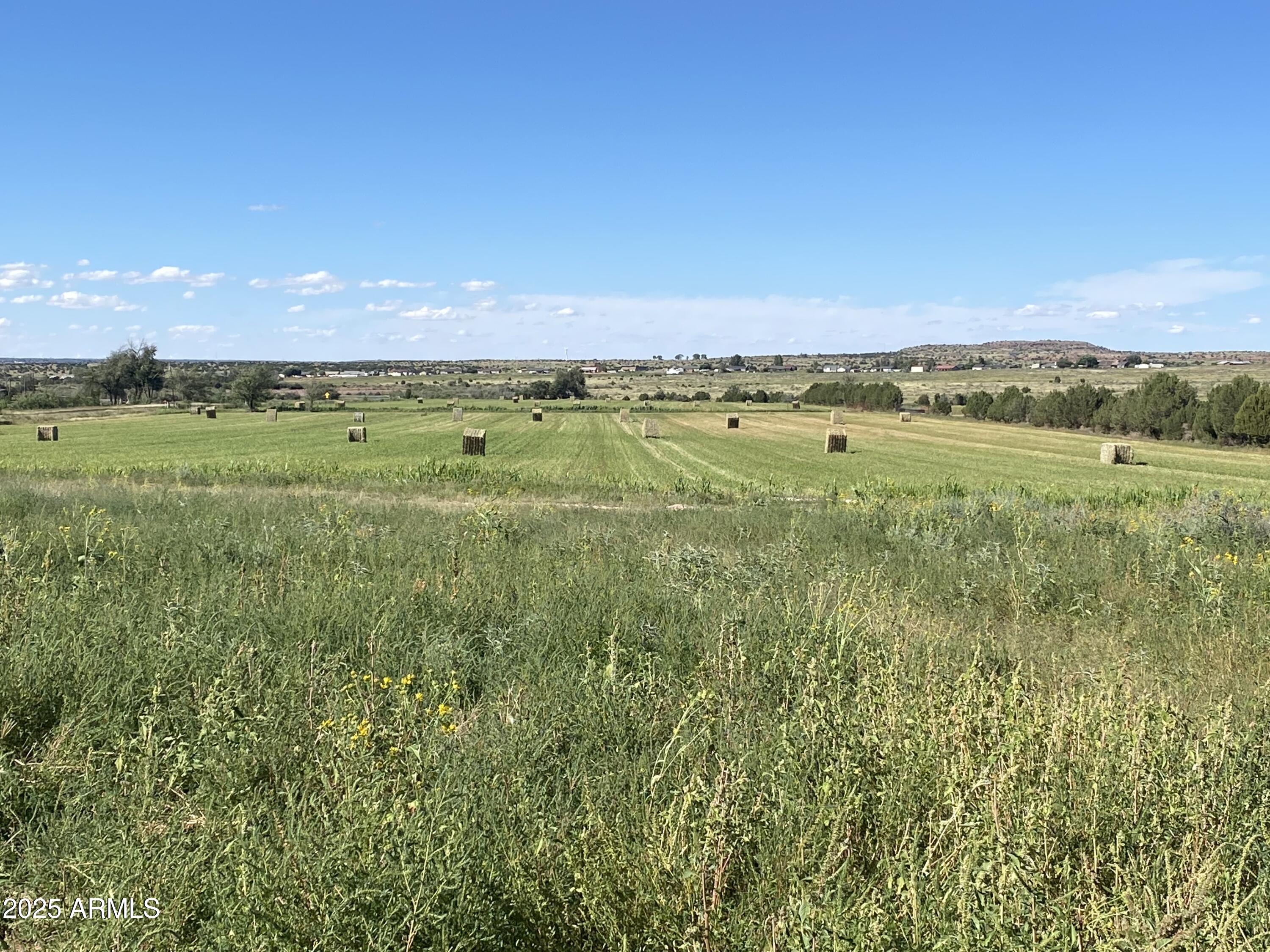 a view of a field with an trees in the background