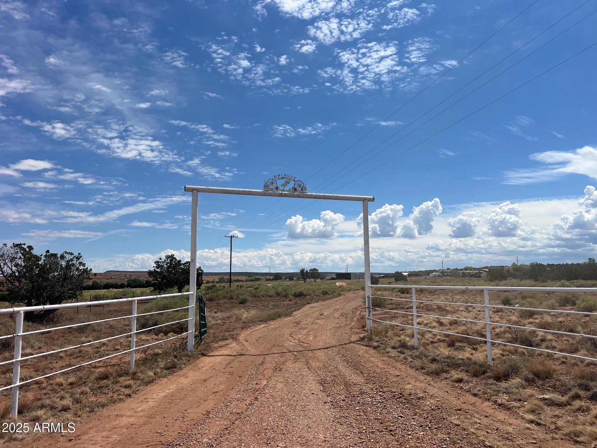 Tbd South Bourdon Ranch South Taylor, AZ 85939 - Photo 5 of 9 a view of a yard