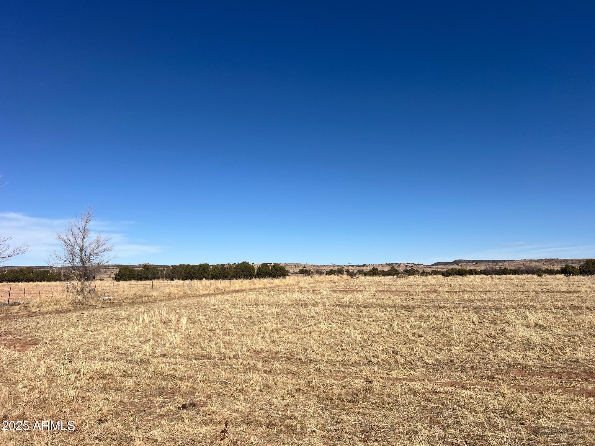 Tbd South Bourdon Ranch South Taylor, AZ 85939 - Photo 9 of 9 a view of an ocean