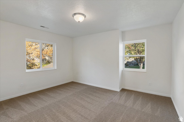 2078 Spring Oaks Drive Springville, UT 84663 - Photo 24 of 40 Empty room featuring carpet and baseboards