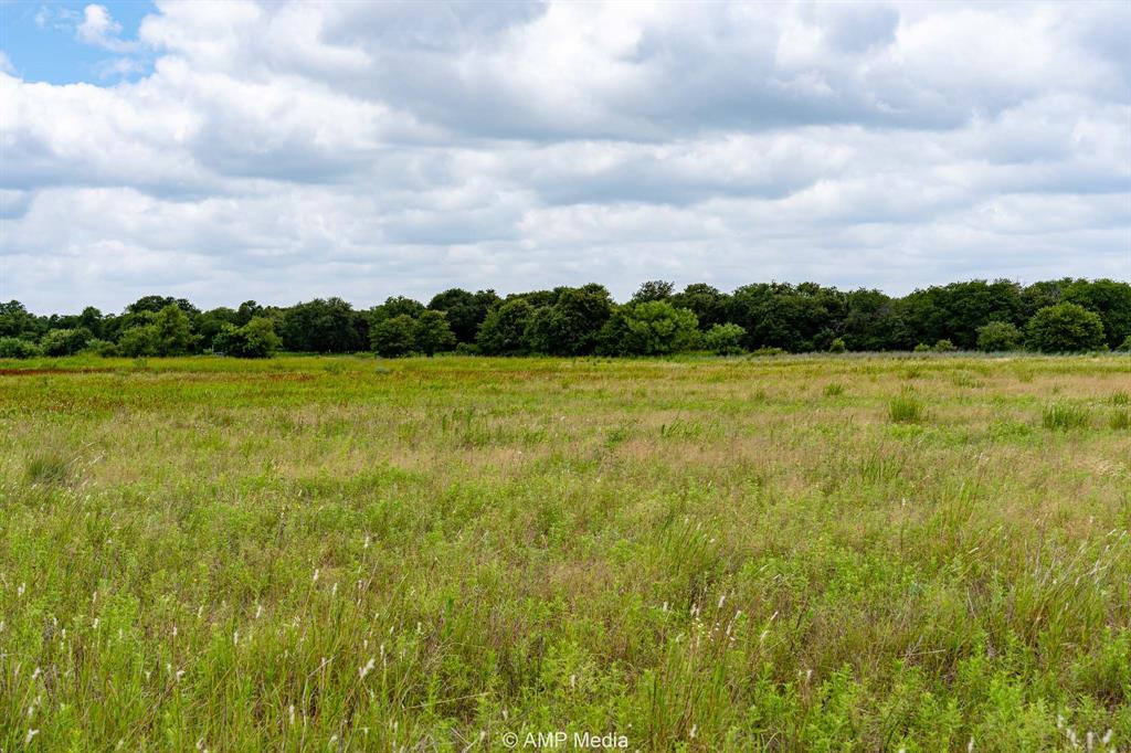 3255 Farm To Market 604 Clyde, TX 79510 - Photo 16 of 36 a view of an ocean from a yard