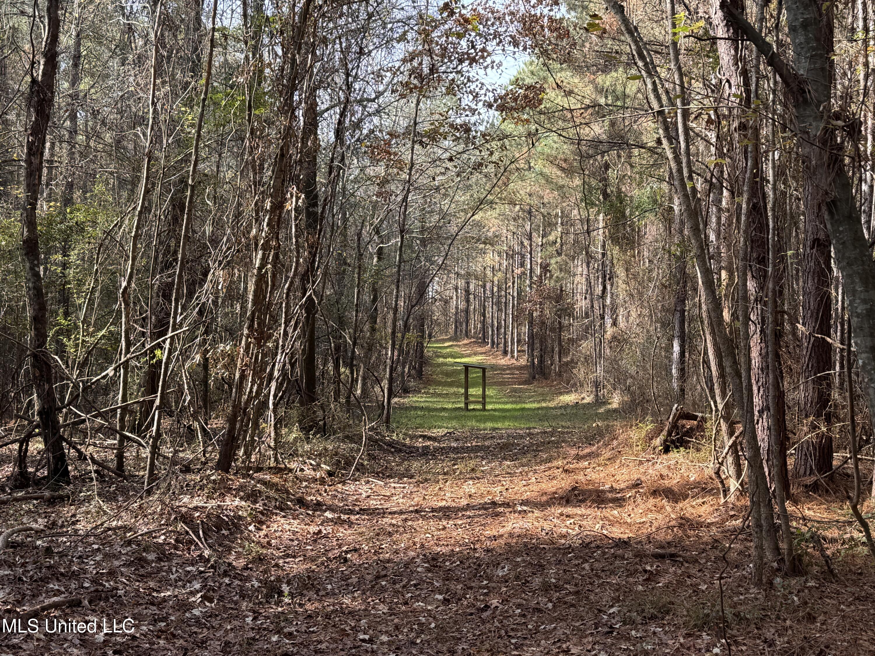4 Whiddon Road Canton, MS 39046 - Photo 21 of 45 IMG_1623