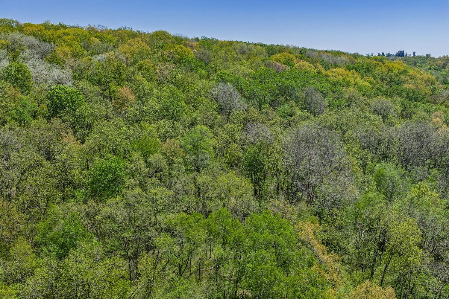 35.38-acres Finnegan Road Reedsburg, WI 53959 - Photo 12 of 19