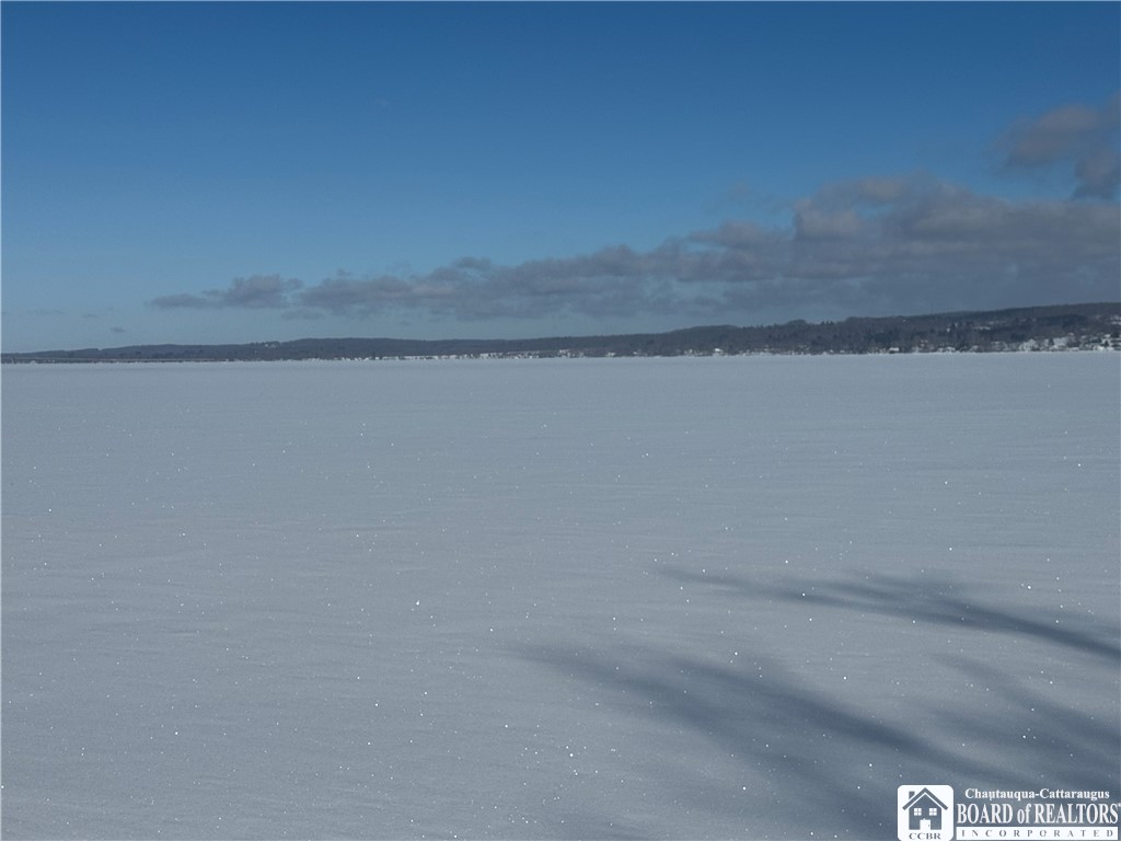 29 Loomis Bay Road Busti, NY 14710 - Photo 43 of 50 Are you interested in skating or ice fishing? You
