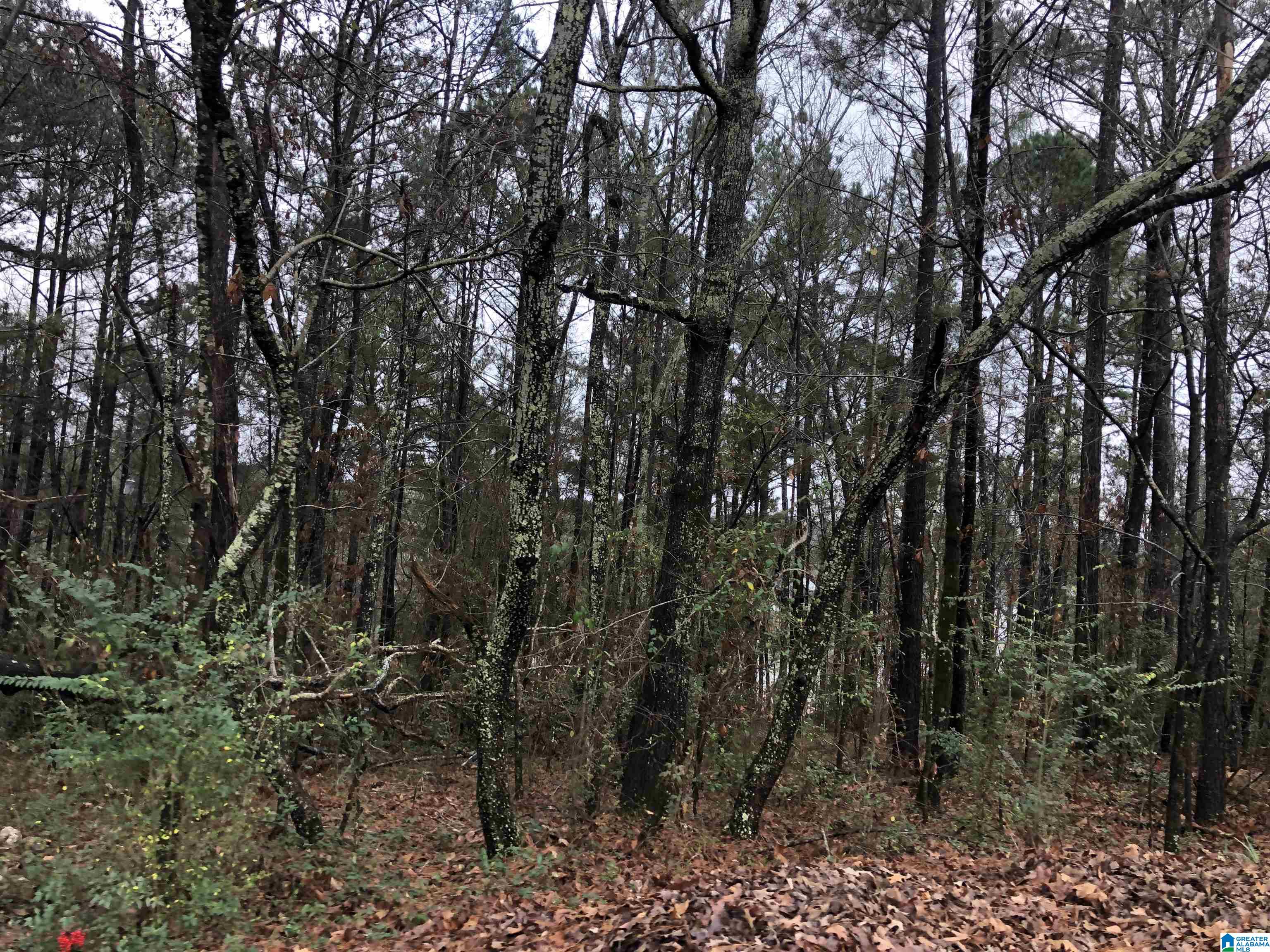 0 Autumn Ridge Trail, Unit 26 Pell City, AL 35128 - Photo 13 of 31