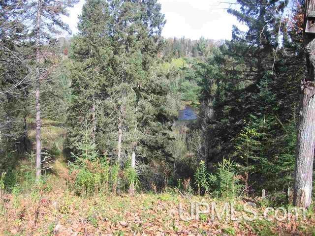 Tbd Tbd Co Road Michigamme, MI 49861 - Photo 8 of 18