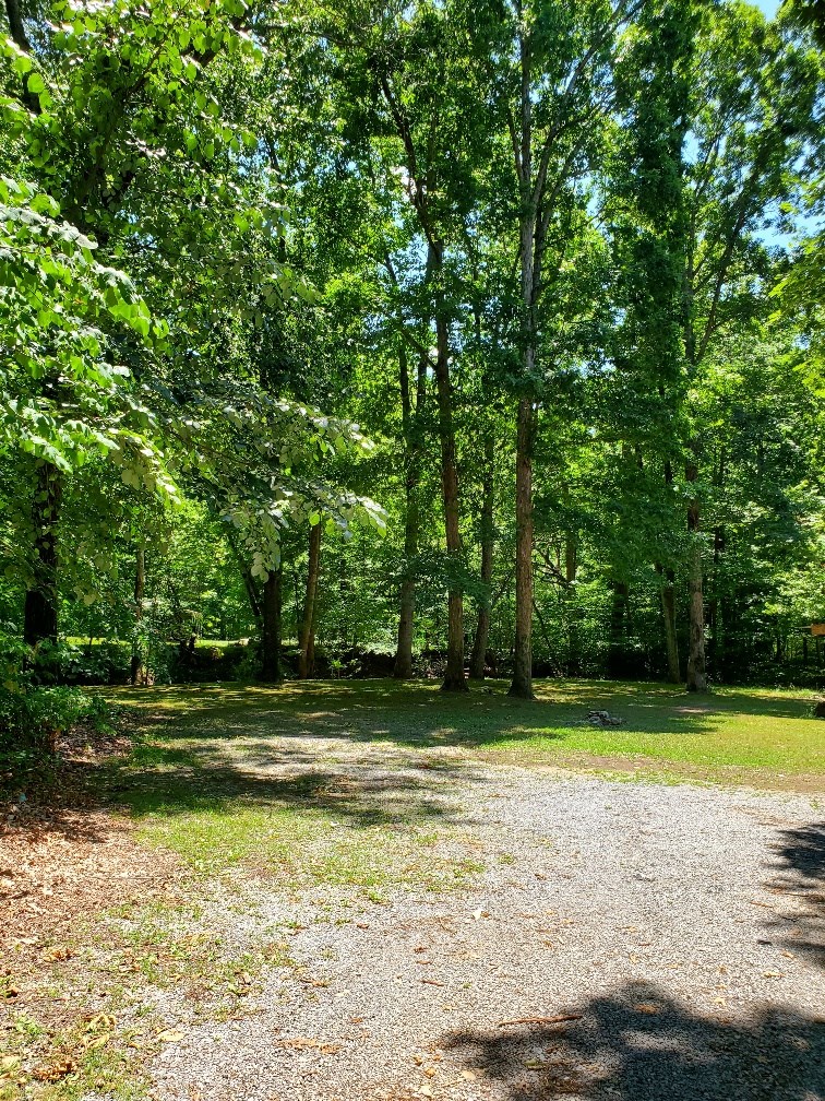 650 Peeples Road Chatsworth, GA 30705 - Photo 5 of 7 Gallery Image 5