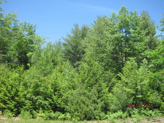 Lot 6 Young Road Lisbon, ME 04250 - Photo 7 of 16 Beauiful country setting, paved road...