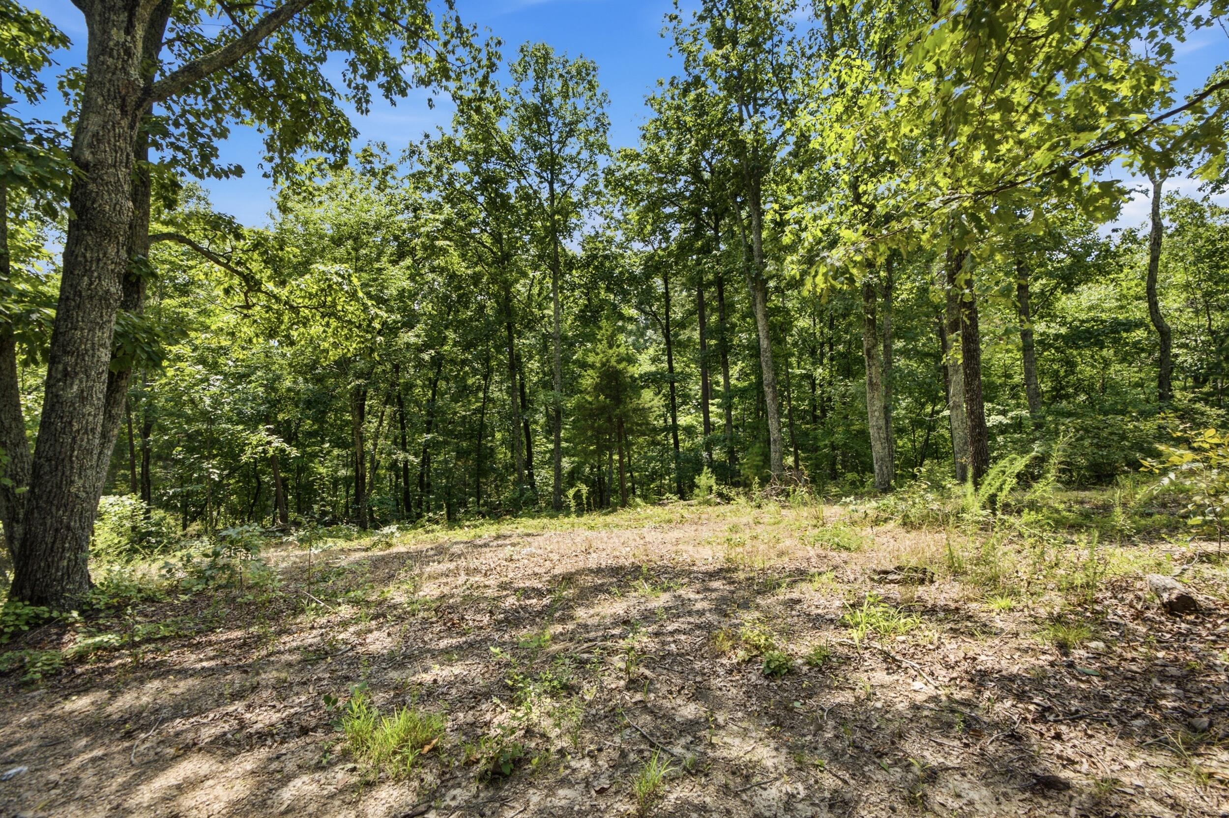 0 Pete Graham Road Jasper, TN 37347 - Photo 2 of 23 002_dsc07435