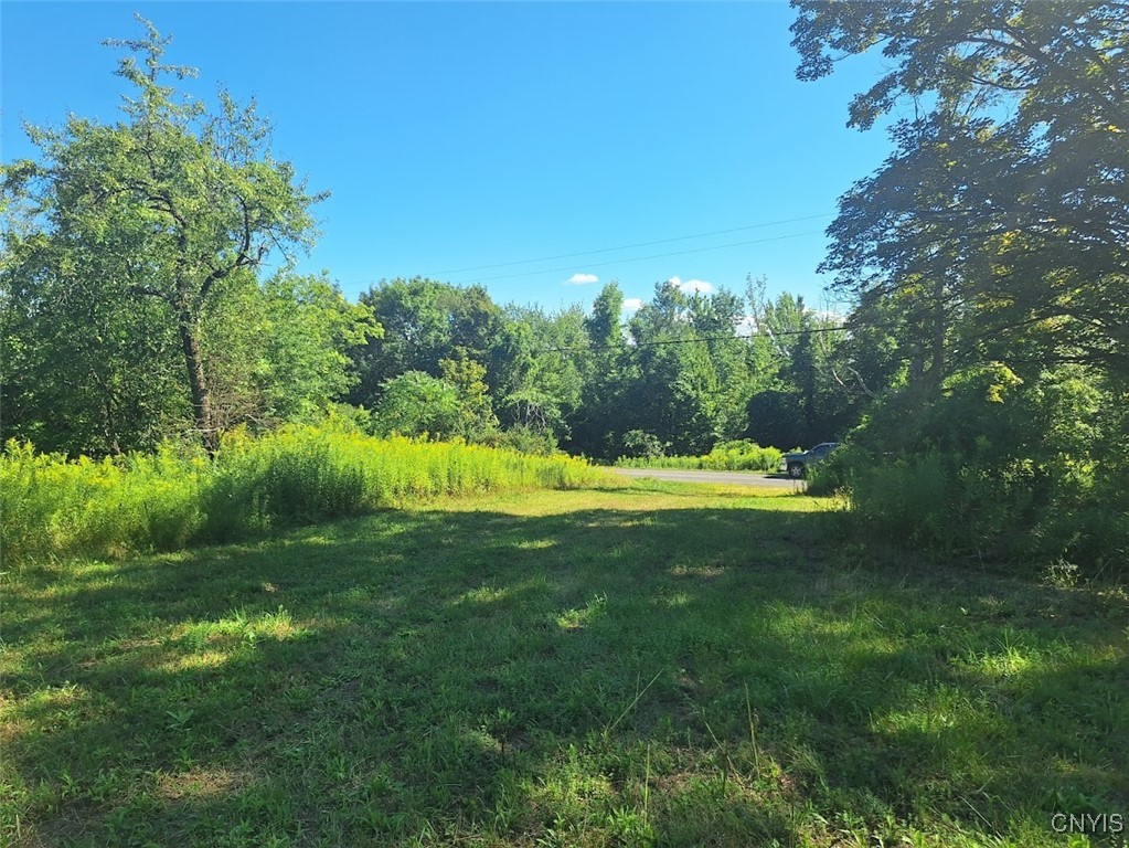 787 Dutch Hill Road Frankfort, NY 13340 - Photo 1 of 1
