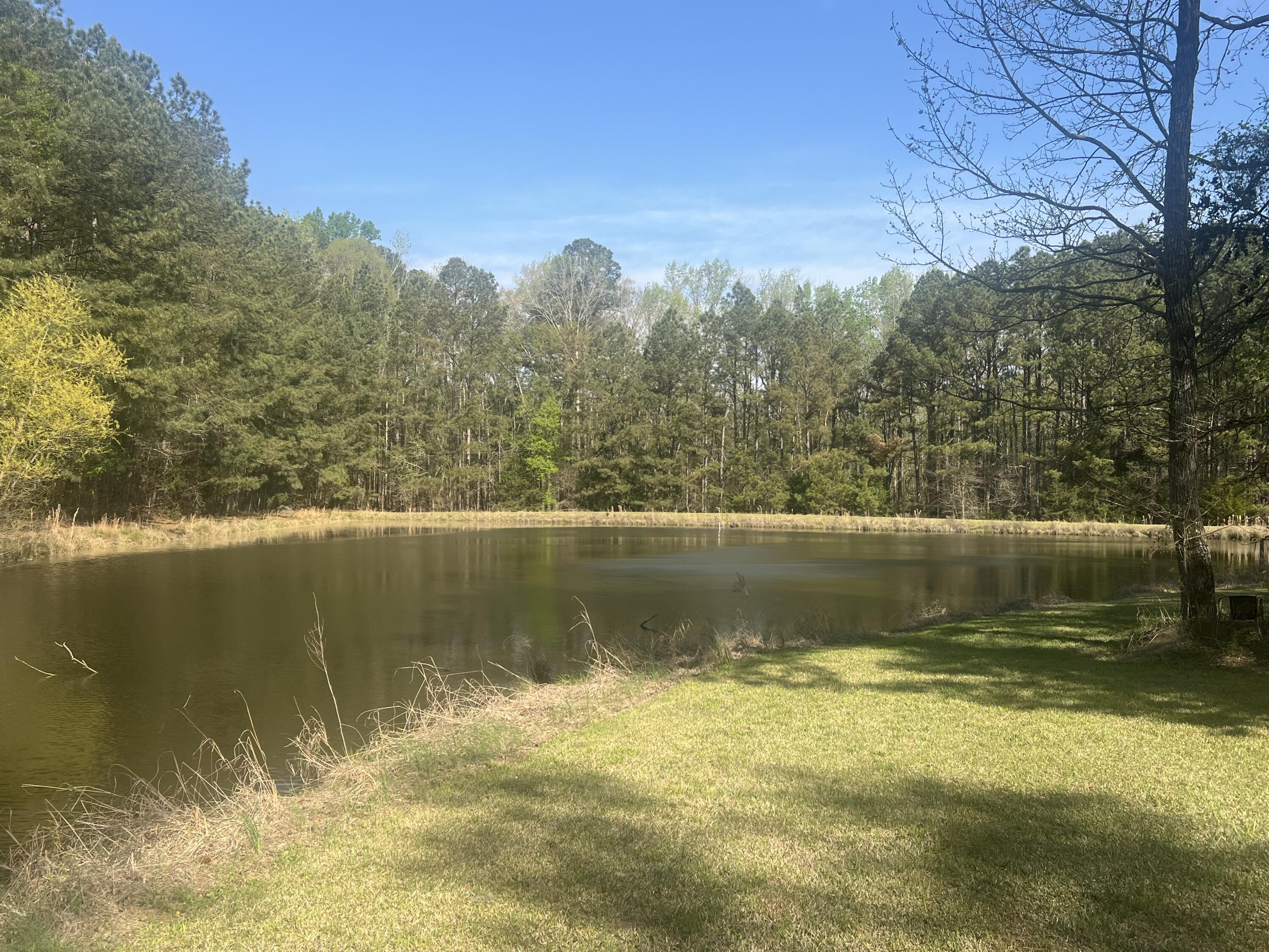3329 Lincolnton Road Northeast Thomson, GA 30824 - Photo 51 of 51 IMG_9826