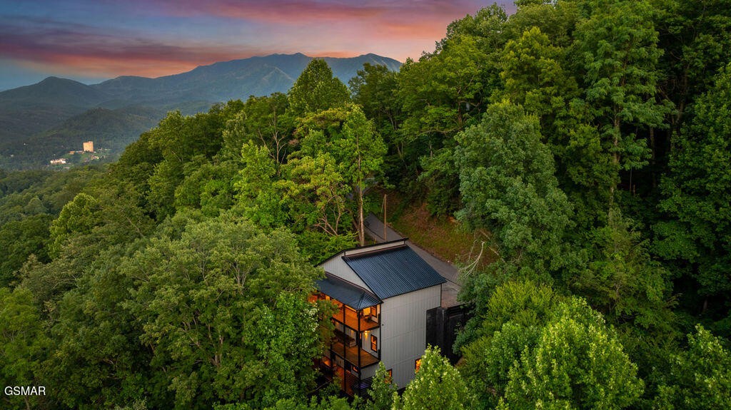 972 Stans Road Gatlinburg, TN 37738 - Photo 7 of 63 Gallery Image 7