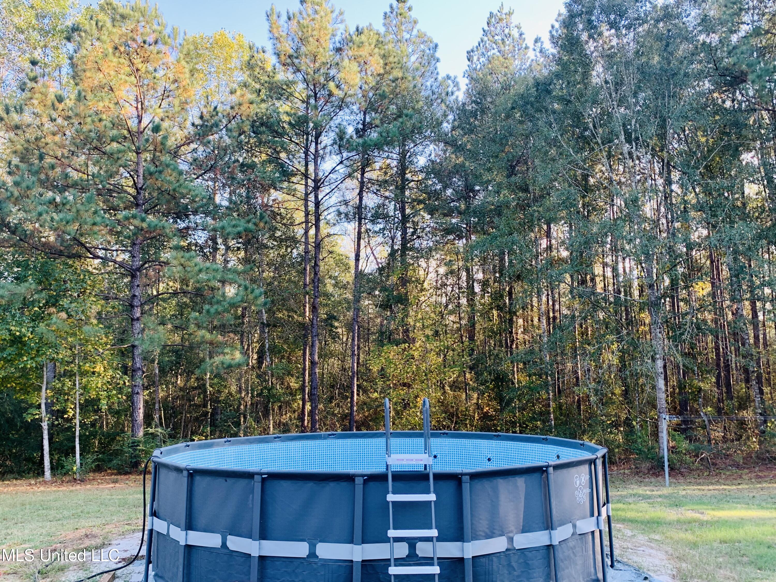 654 Slade Woodward Road Poplarville, MS 39470 - Photo 23 of 29 IMG_5883