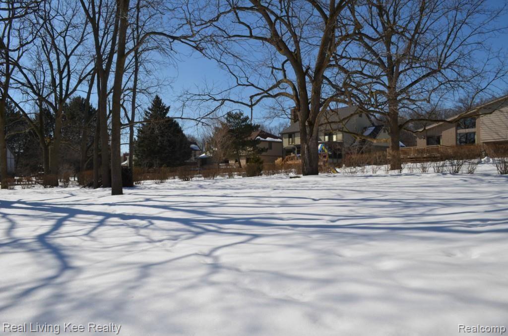 707 Sunlight Drive Rochester, MI 48309 - Photo 50 of 55 back yard.jpg