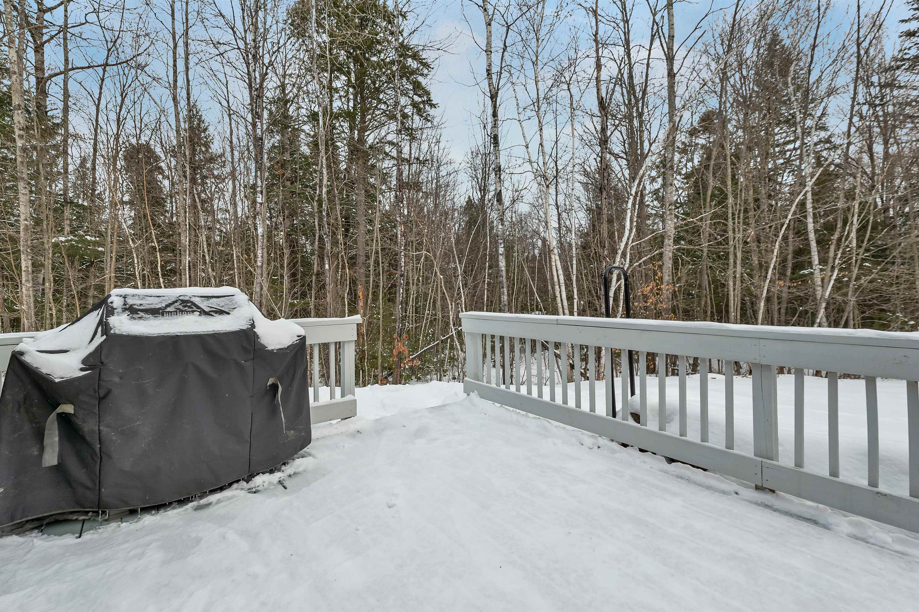 4 Bear Village Road Bartlett, NH 03812 - Photo 41 of 49