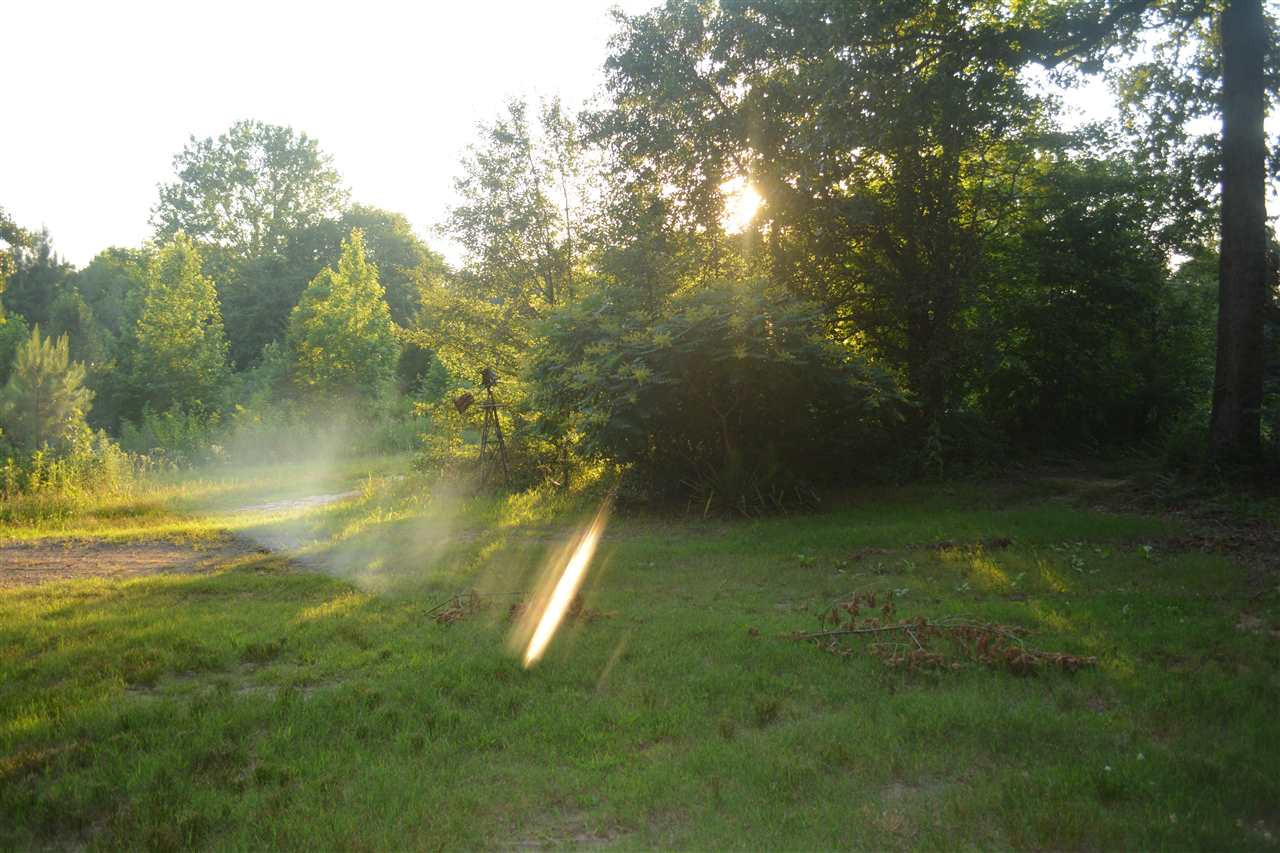 1292 Sweet Lips Road Finger, TN 38334 - Photo 15 of 15